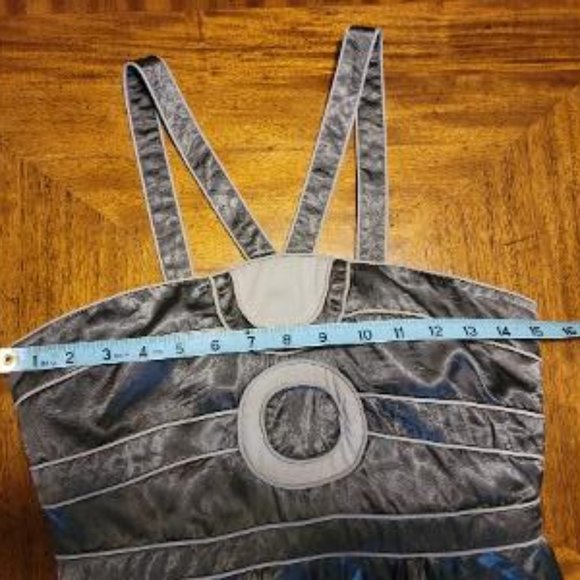 BCBG Silver Satin Dress - Picture 15 of 15